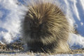 CRW_4506-Edit.jpg