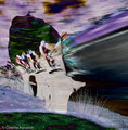 _MG_1170-Edit-9.jpg