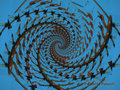 Insulator Twist