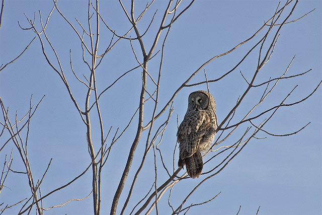 Surveying