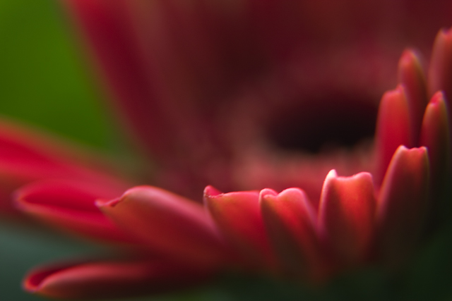 Reaching Out