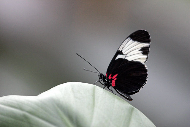 CRW_9288-01.jpg