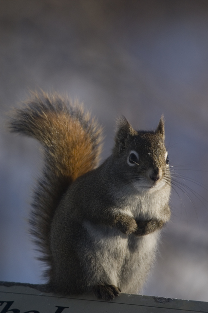 CRW_4421-Edit.jpg