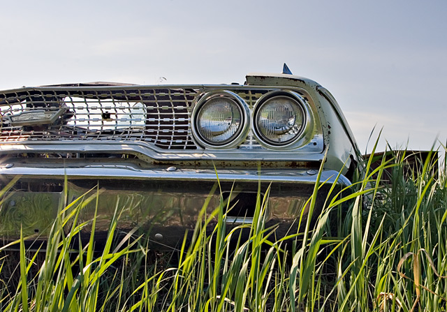CRW_6729-Edit.jpg