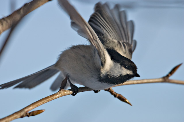 CRW_4461-Edit-2.jpg