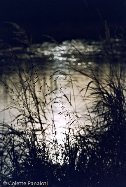 0001-2.jpg