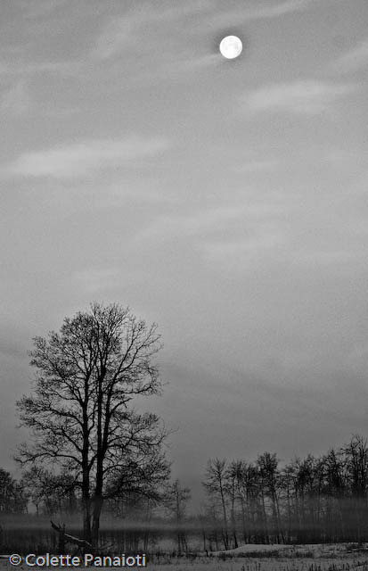 _MG_1770_HDR-Edit-Edit-2.jpg