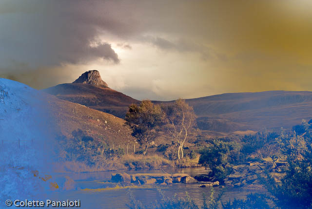 _MG_3009-Edit-2.jpg