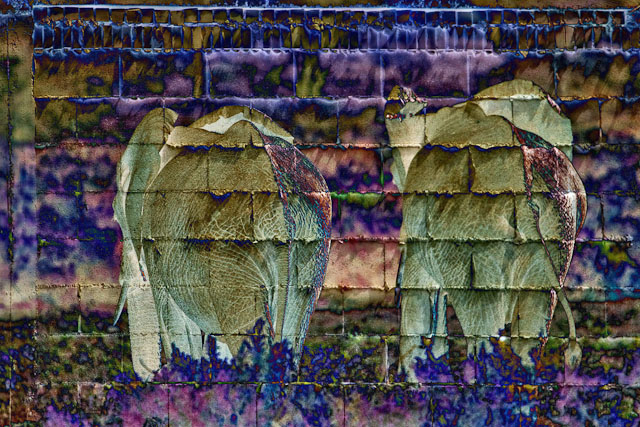 CRW-2888-Edit-4.jpg