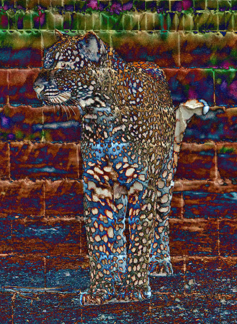 CRW-2942-Edit.jpg