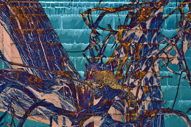 CRW-3189-Edit-5.jpg