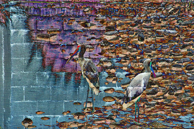 CRW-0923-Edit-2.jpg