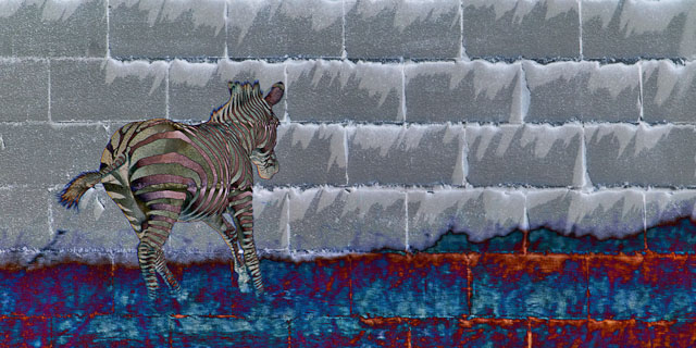CRW_0765-Edit.jpg