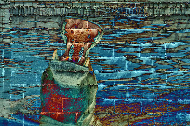 CRW_2198-Edit.jpg