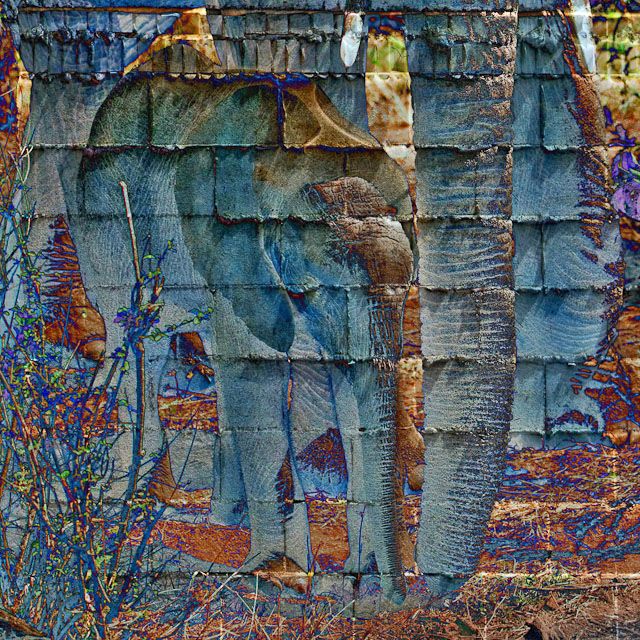 CRW_2773-Edit.jpg