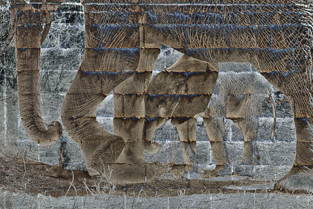 CRW_2789-Edit-Edit.jpg