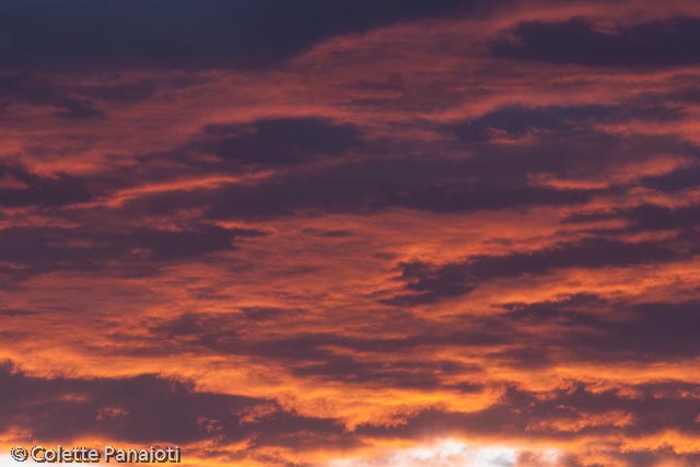 CRW_1115.jpg