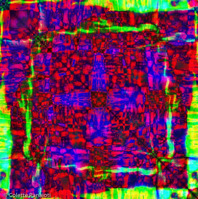 CRW_1115-Edit.jpg