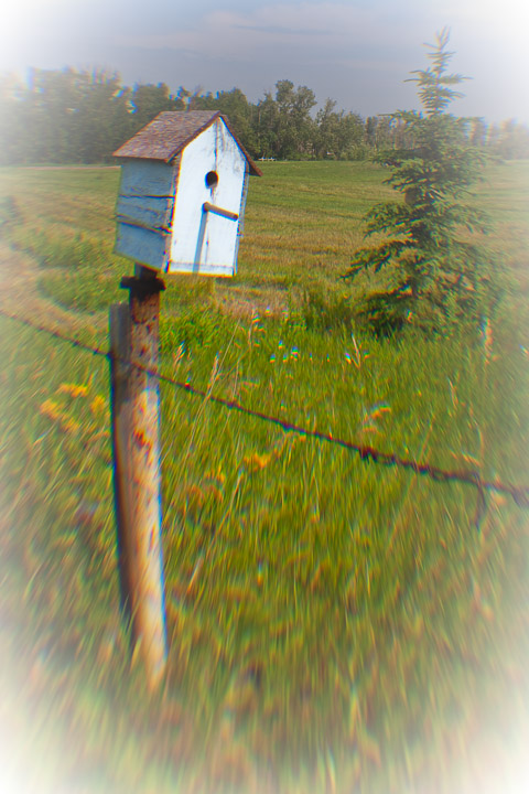 Home Tweet Home