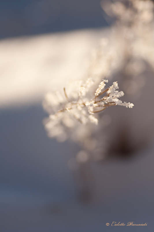 _MG_5301.jpg