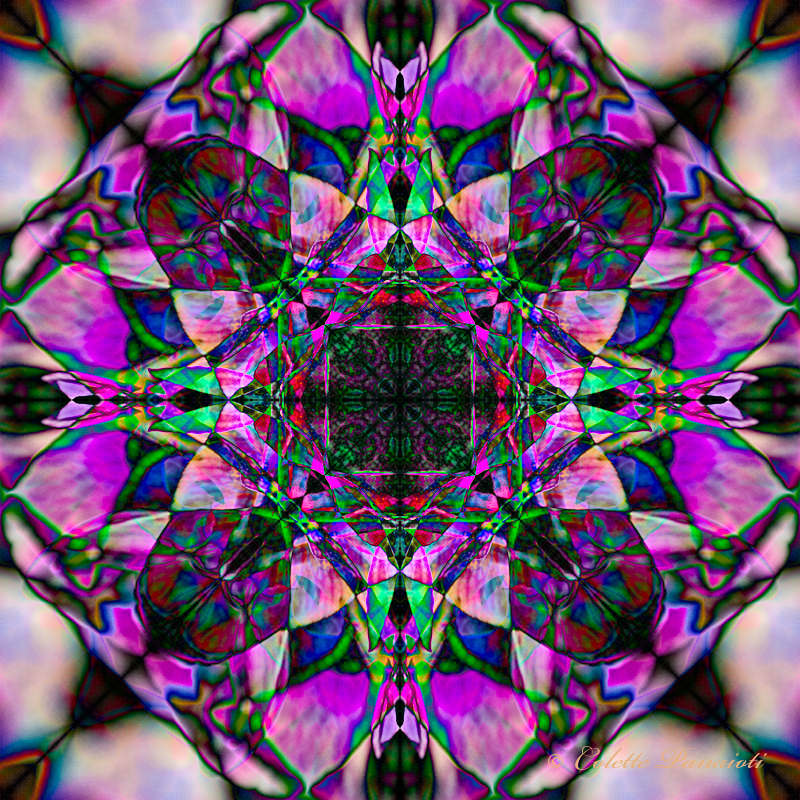 _MG_4843-Edit.jpg
