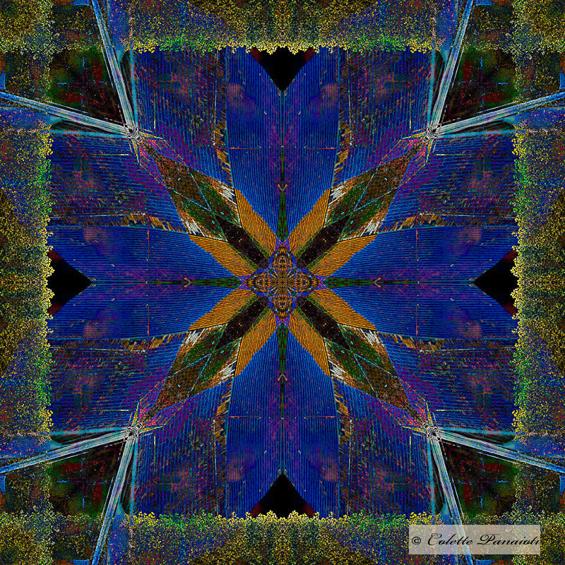 CRW_7554-Edit-Edit.jpg
