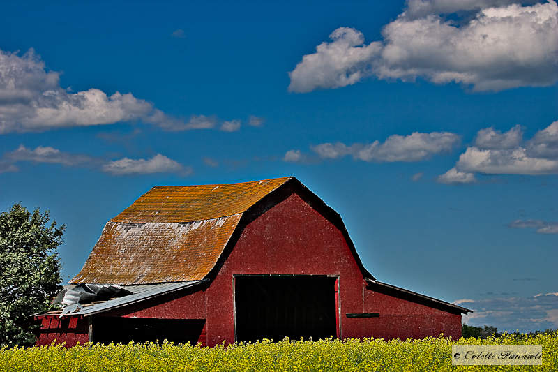 CRW_7554-Edit.jpg