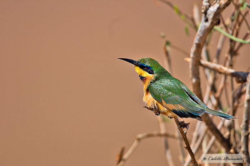 CRW-2830-Edit-3.jpg