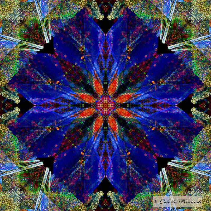 CRW_7554-Edit-Edit-Edit-2.jpg