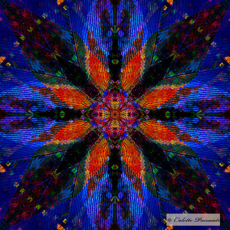 CRW_7554-Edit-Edit-Edit-2-2.jpg
