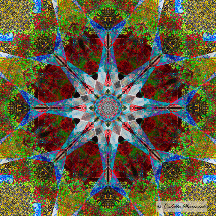 CRW_7551-Edit-Edit-Edit-2.jpg