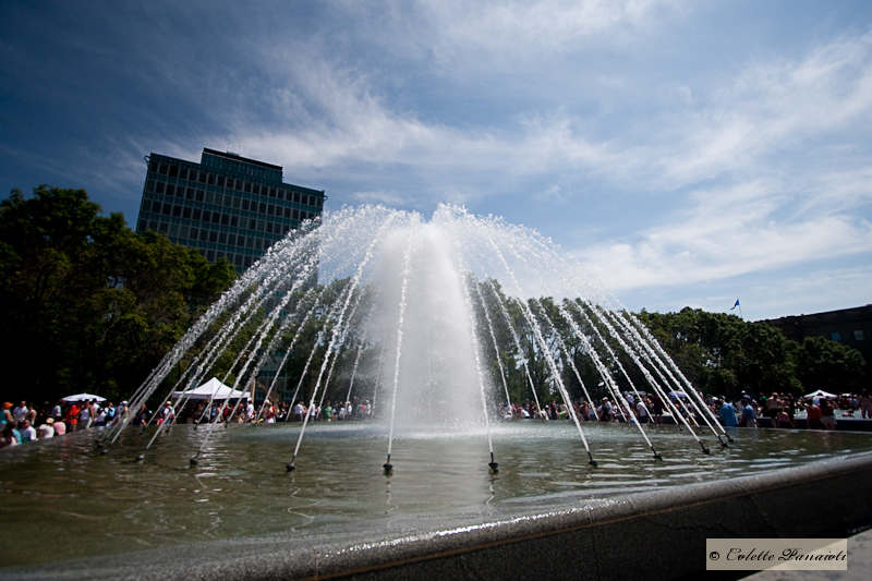 _MG_7890.jpg