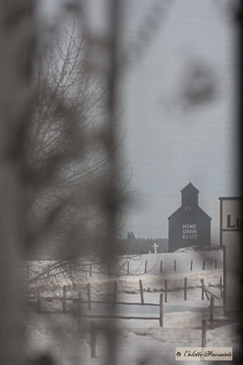 _MG_2866.jpg