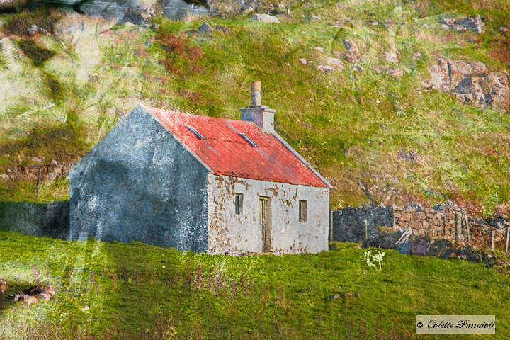 Seaside Cottage