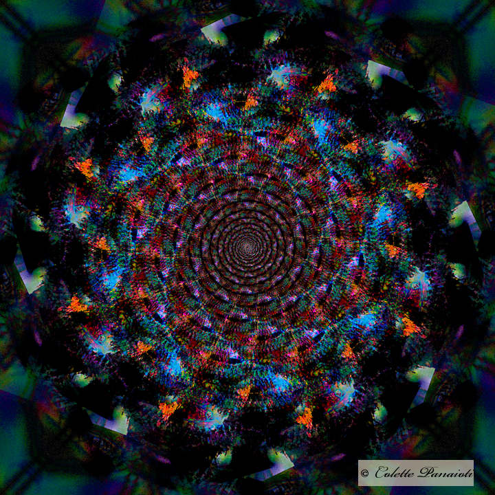 CRW_9175-Edit-Edit.jpg