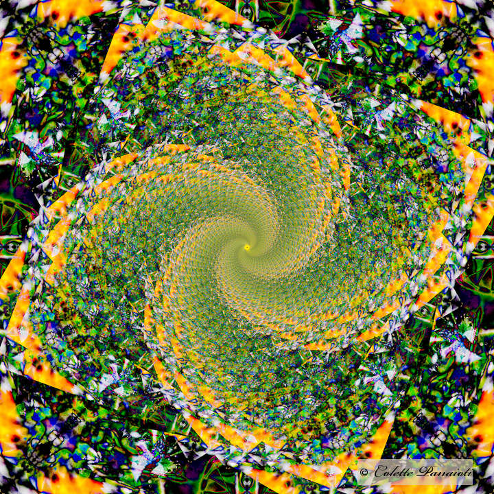 CRW_8892-Edit-Edit.jpg