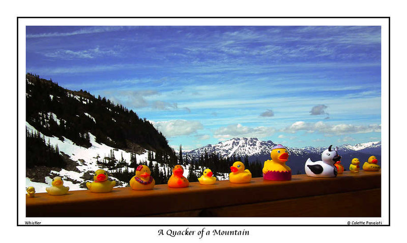 A Quacker of a Mountain