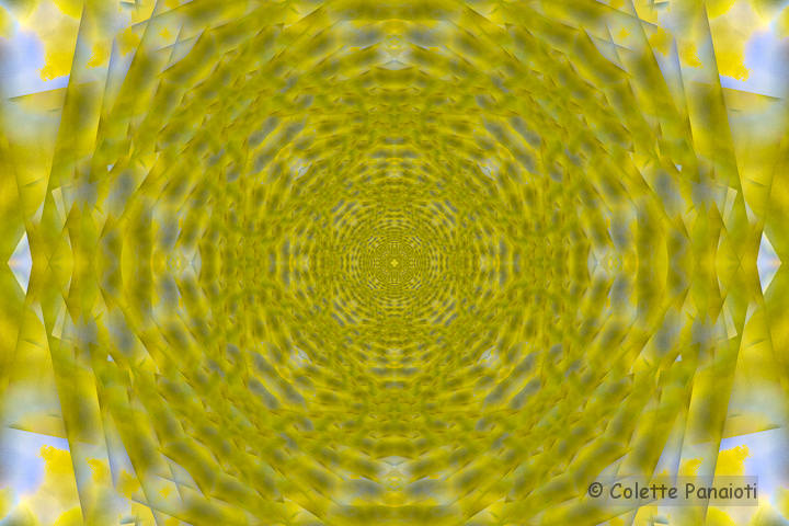 CRW_8189-Edit