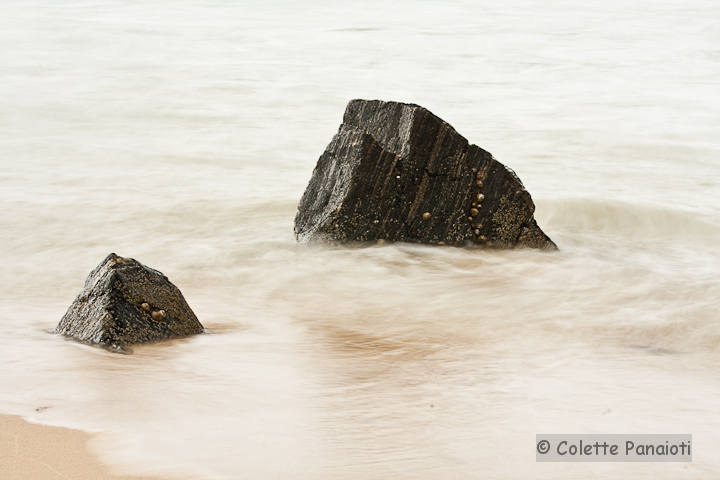 _MG_7893-Edit