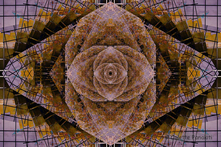 Rosebud