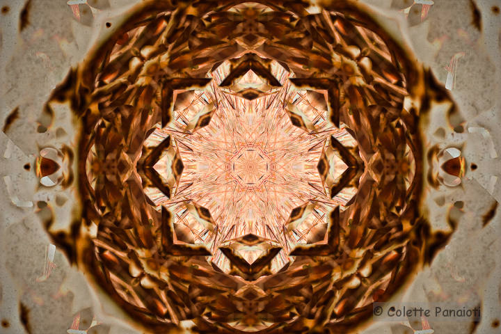 IMG_3558-Edit-Edit-Edit