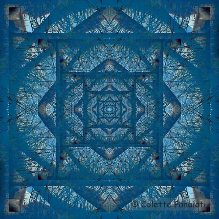 Look Up