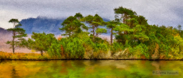 Reflection - stage 2