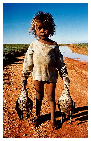 Ducks