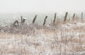 Winter Fields