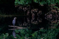 Environmental III