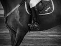 Equestrian (Detail)