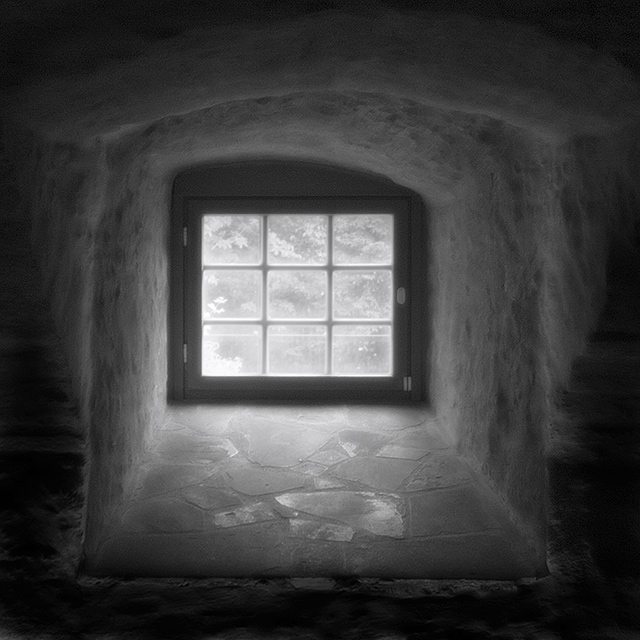 Where the Light Comes In