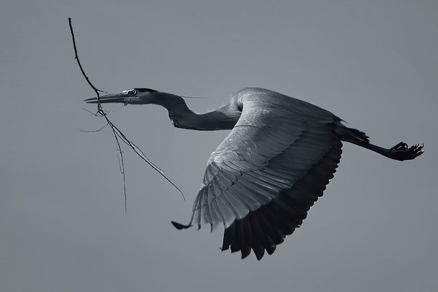 Conveyance
