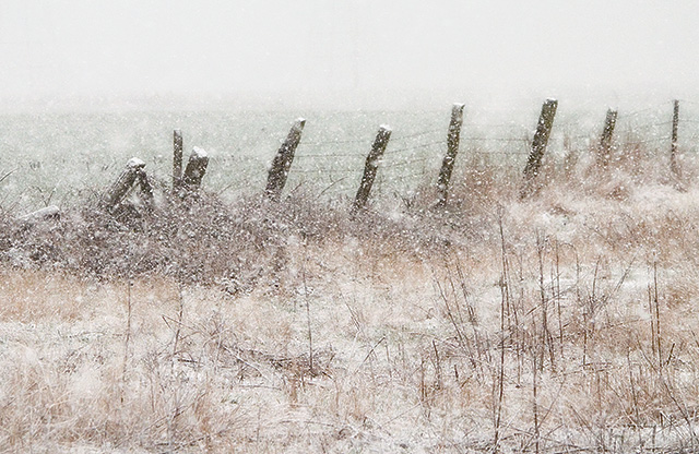 Winter Fields